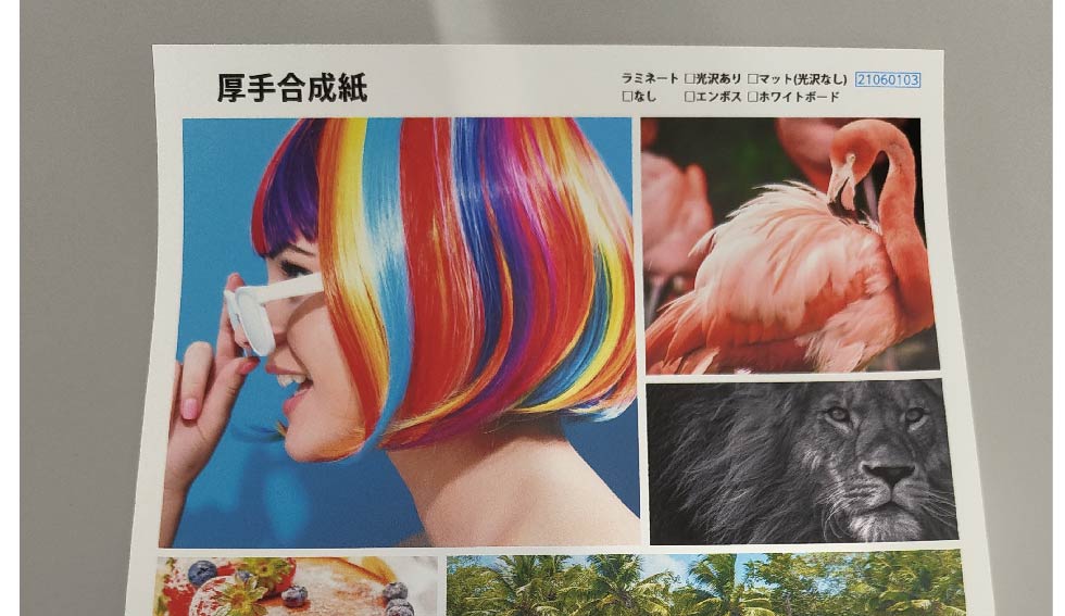 厚手合成紙の色味や光の反射を確認できます。
