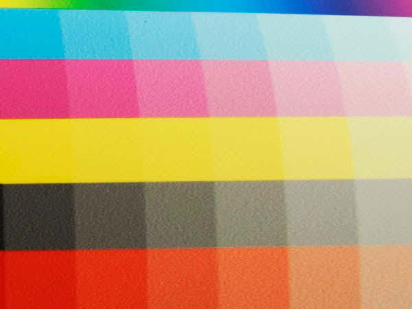 短期ラミネート(光沢なし(マット))