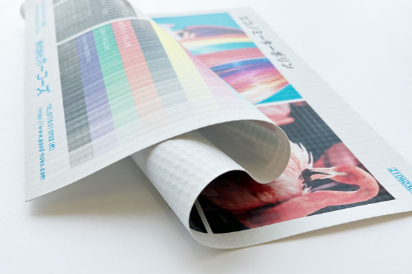 エコノミーターポリン